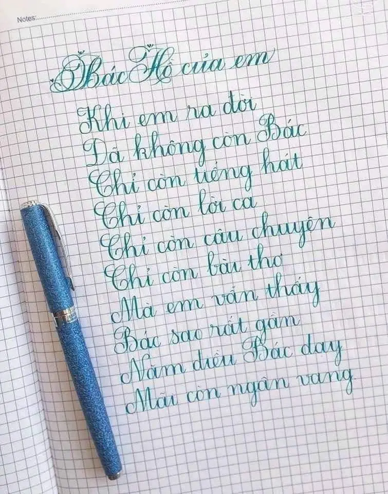 luyện chữ đẹp đà nẵng trung tâm bút việt sơn trà