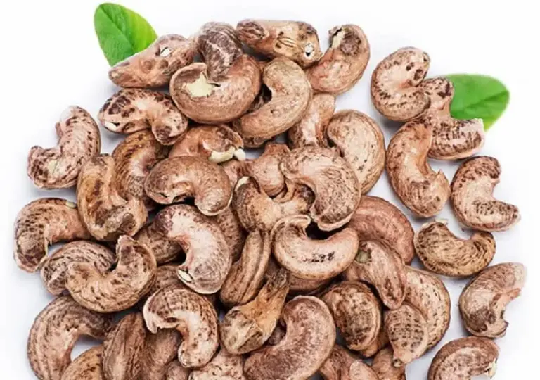 Tham Khảo Top 5 Món Ăn Đặc Sản Bình Phước Chất Lượng Nhất