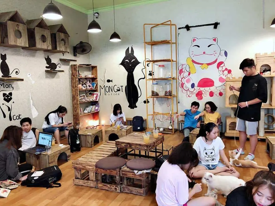 cafe chó hà nội cafe chó hà nội