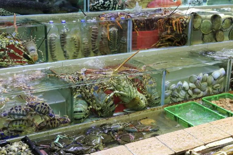 “Bỏ Túi” Ngay TOP 5 Quán Ăn Tối Ngon Ở Phú Quốc