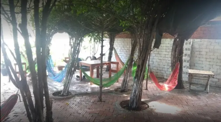 Nem cua bể