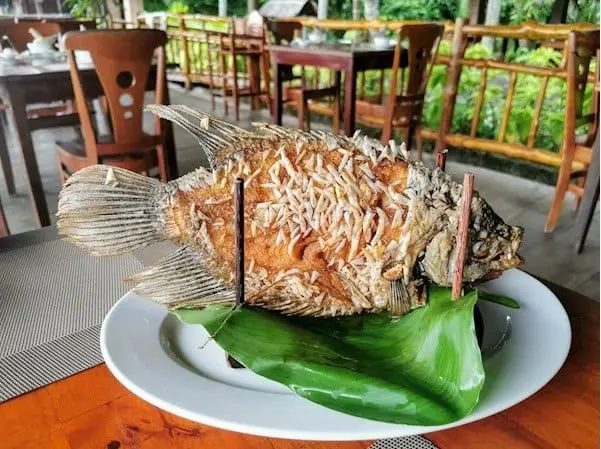 Quán ngon ở Biên Hoà Nhà Hàng Quê Hương - Top Nhà Hàng Ngon Nổi Tiếng (Giá Bình Dân, Nhận Đặt Tiệc Theo Yêu Cầu) Tại Biên Hòa