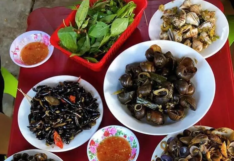 quán ốc ngon quy nhơn Ốc Lốc Cốc
