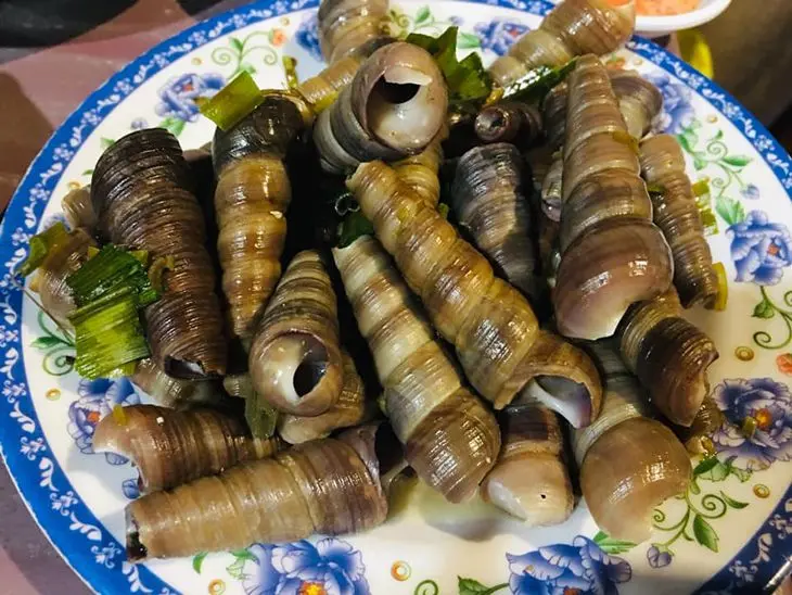 quán ốc ngon quy nhơn Ốc 8 Nhai