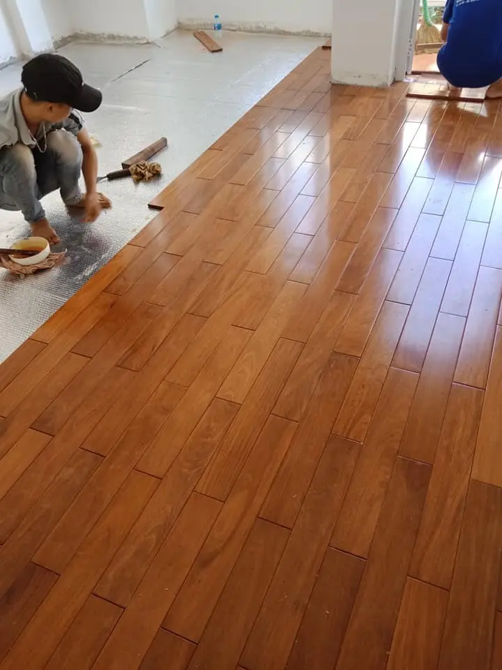 Công ty TNHH MTV Bảo Hoàng