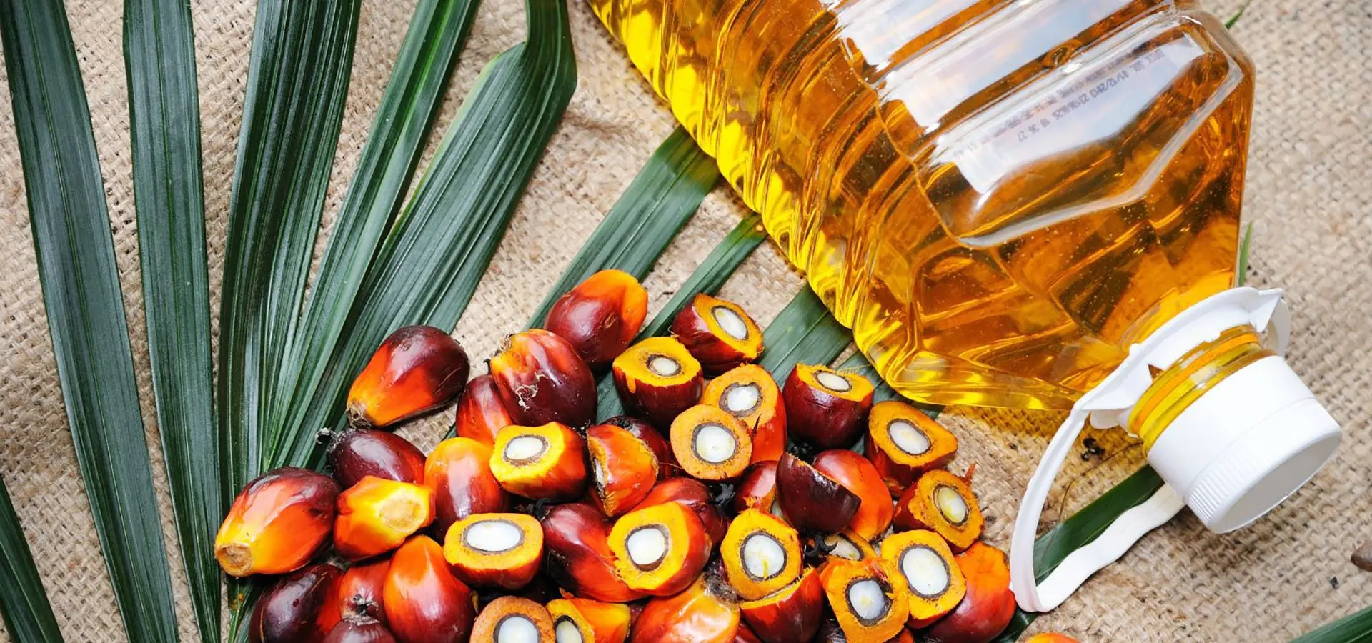 công ty sản xuất dầu ăn công ty sản xuất dầu ăn