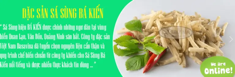 Top 5 Địa Chỉ Cung Cấp Sá Sùng Khô Chất Lượng Nhất Tại Quảng Ninh