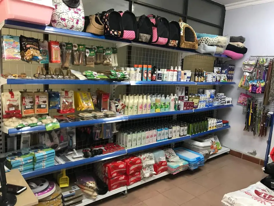 shop thú cưng Tây Ninh shop thú cưng Tây Ninh