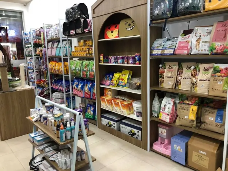 shop thú cưng Tây Ninh shop thú cưng Tây Ninh