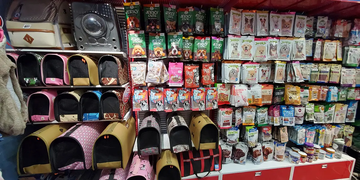 shop thú cưng Tây Ninh Pet Shop
