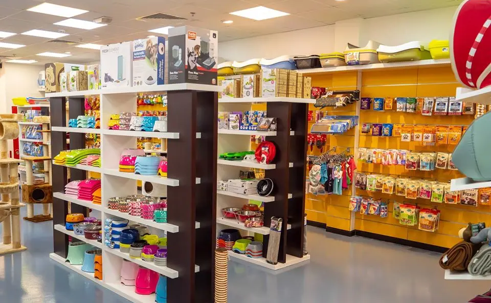 shop thú cưng Tây Ninh shop thú cưng Tây Ninh