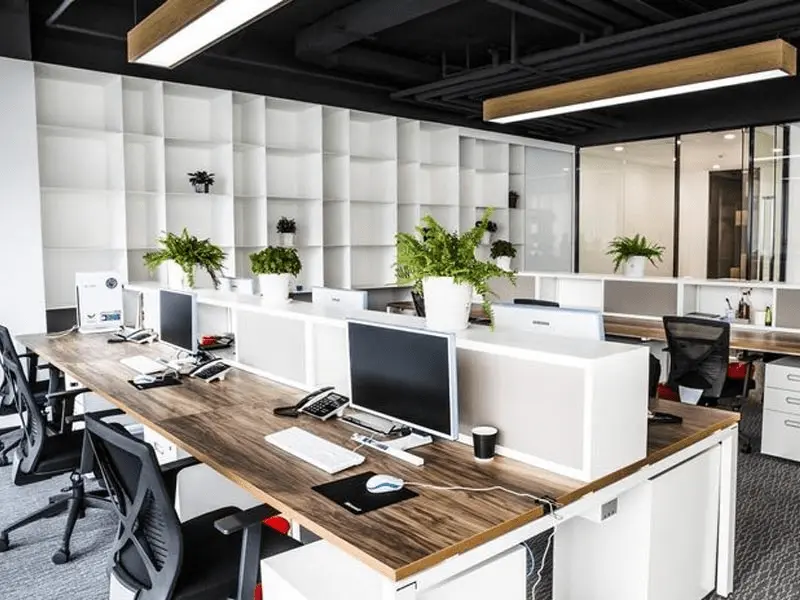 Thiết Kế Văn Phòng Bạc Liêu Công Ty Cổ Phần Realspace