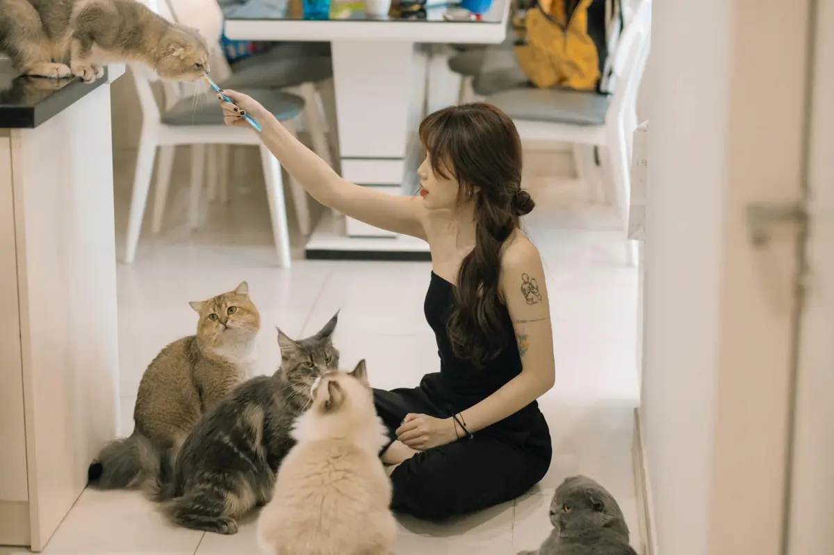nhà hàng chay sài gòn nhà hàng chay sài gòn
