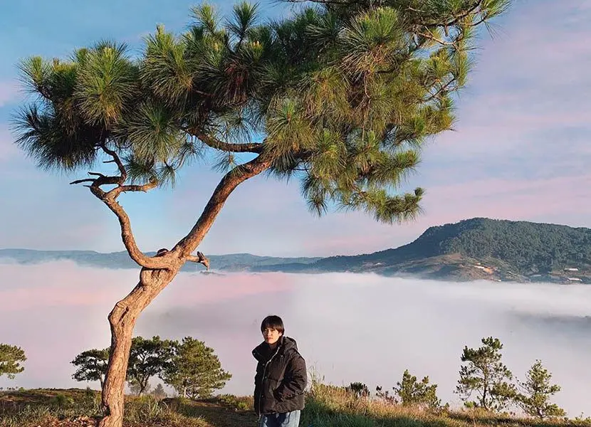 tour du lịch Đà Lạt công ty du lịch tại Đà Lạt