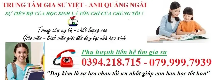 trung tâm gia sư quảng ngãi Trung tâm gia sư Việt Anh Quảng Ngãi