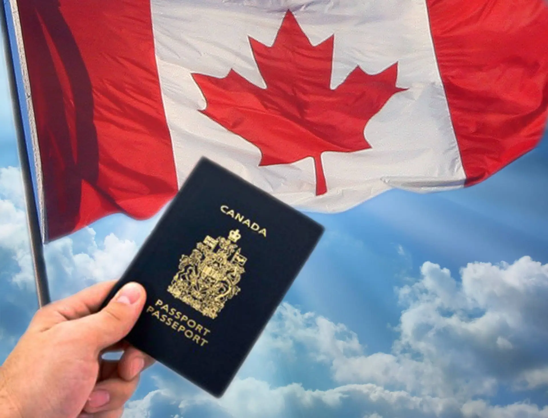 Tổng Hợp Top 10 Trung Tâm Tư Vấn Du Học Canada Uy Tín Nhất Hiện Nay