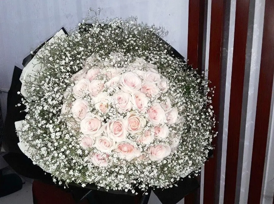 hoa tươi cà mau hoa tươi cà mau