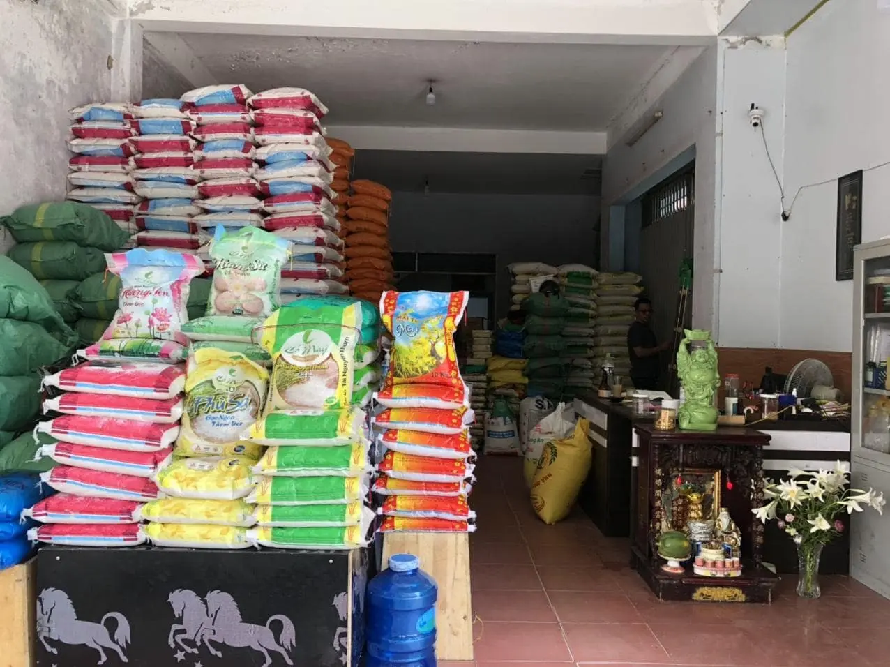 vựa gạo tiền giang gạo tiền giang giá rẻ