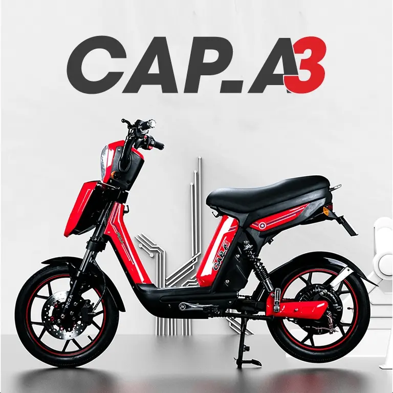 xe đạp điện long an PEGA Dũng Phong
