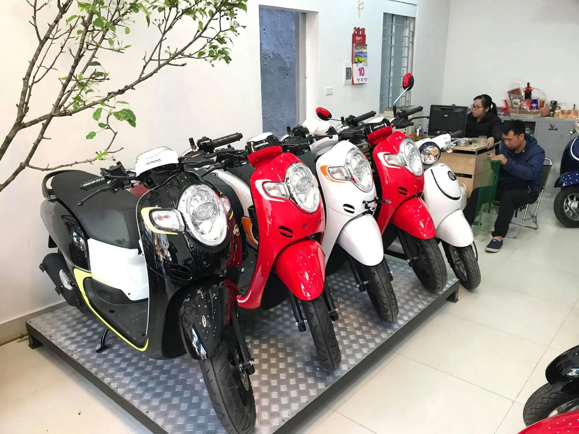diệt chuột Thanh Hoá diệt chuột Thanh Hoá