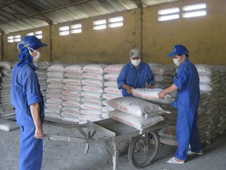 Top 3 Đơn Vị Cung Cấp Xi Măng Cao Bằng Uy Tín