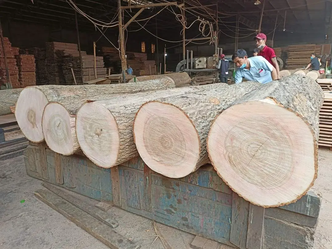 Trung tâm tiếng Nhật Hà Nội Núi Trúc