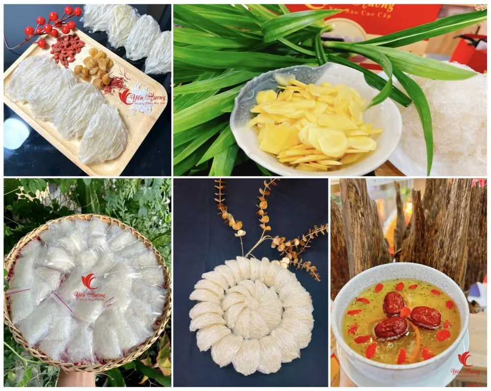Yến Chưng Đà Nẵng Yến Hương Đà Nẵng - Địa Chỉ Yến Chưng Bổ Dưỡng Tại Đà Nẵng