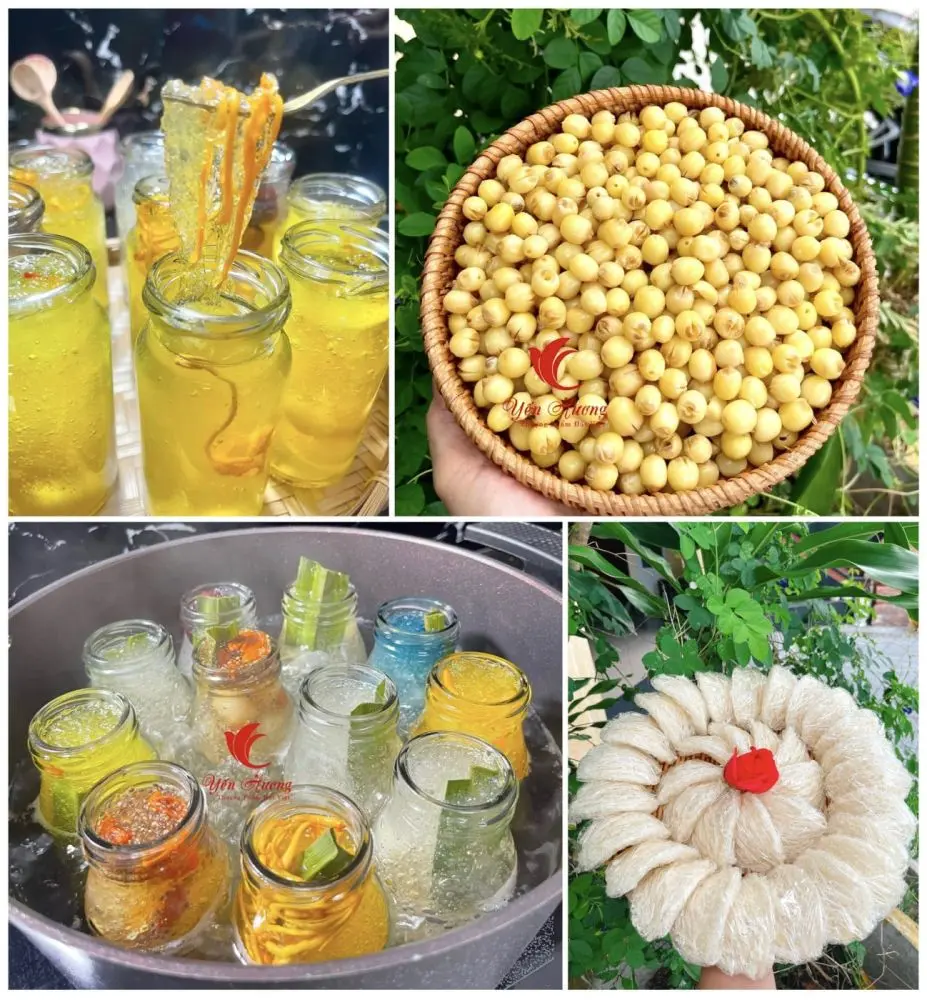 Yến Chưng Đà Nẵng Yến Chưng Đà Nẵng