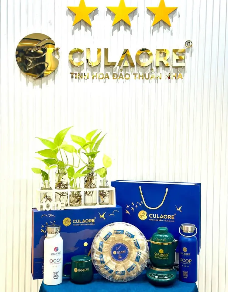 Lưu Ngay Top 7 Địa Chỉ Bán Yến Sào Quảng Ngãi Uy Tín Nhất