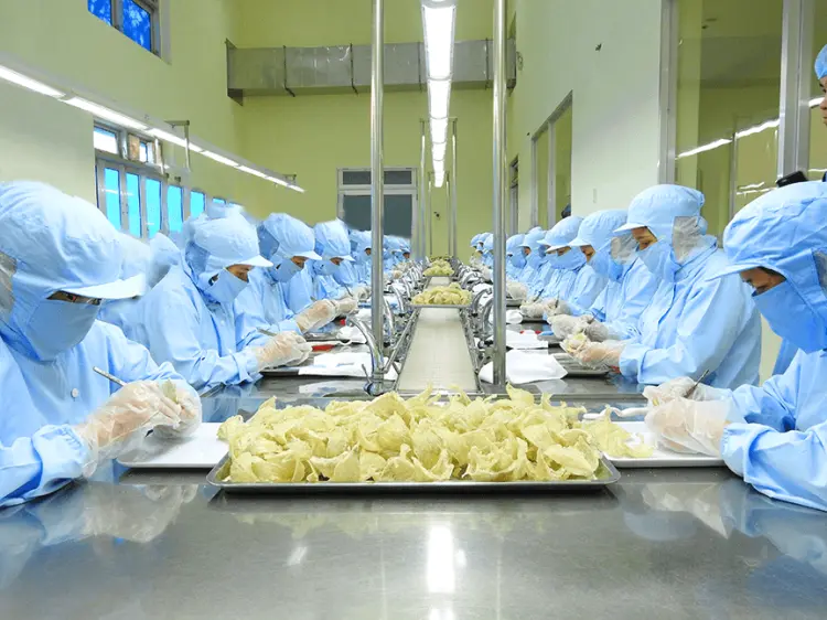 Yến Sào Tiền Giang Yến Sào Tiền Giang