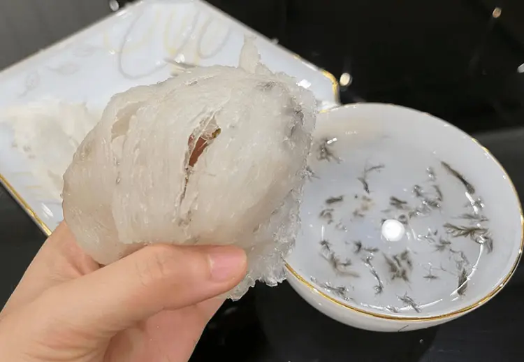 yến sào Tiền Giang Yến Sào MT