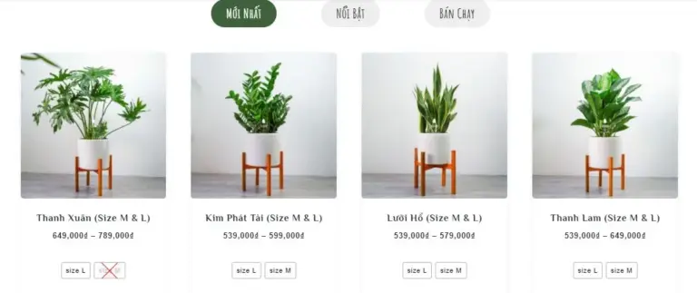 Lưu Ngay Top 10 Shop Cây Cảnh TPHCM Chất Lượng