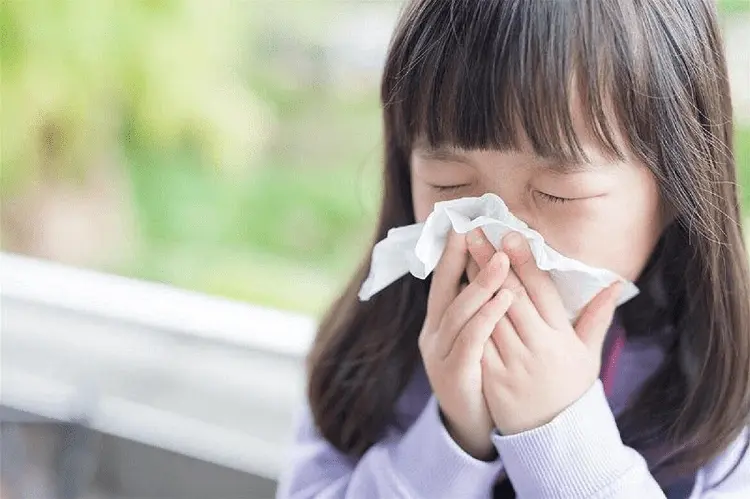 quán phở ngon ở Vũng Tàu Phở Lạ