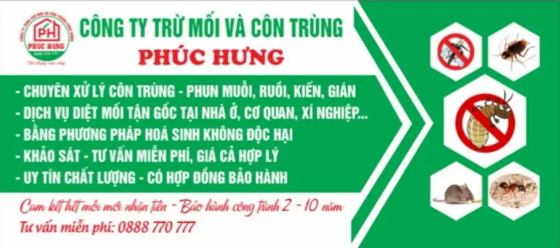 diet-moi-da-nang