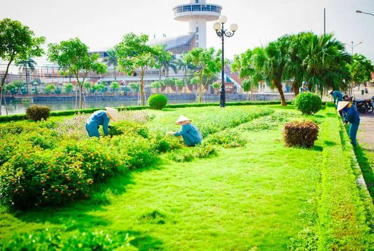 Cây Cảnh Bình Dương Cây Cảnh Bình Dương