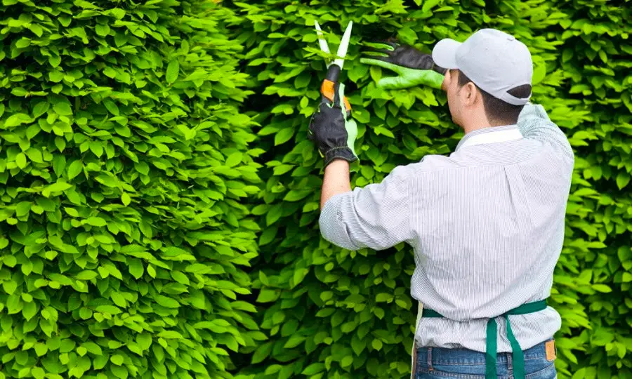 tiệm xăm Rạch Giá tiệm xăm Rạch Giá