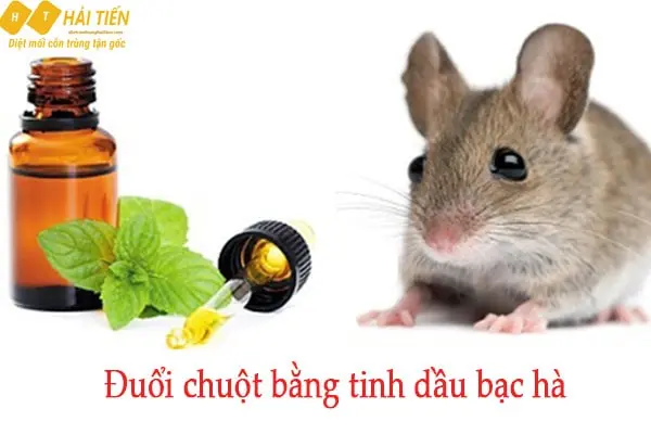 tủ lạnh quảng ngãi