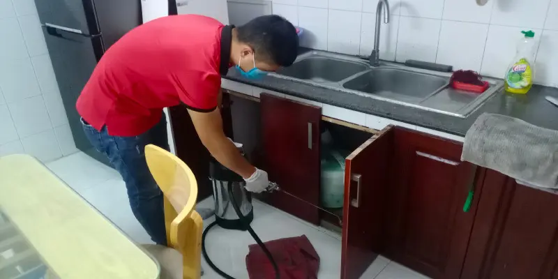 diet-moi-da-nang Công ty Thuận Phát