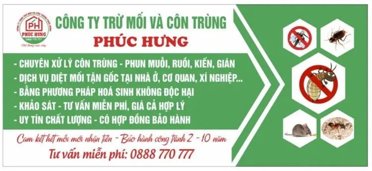 thẩm mỹ viện Sóc Trăng