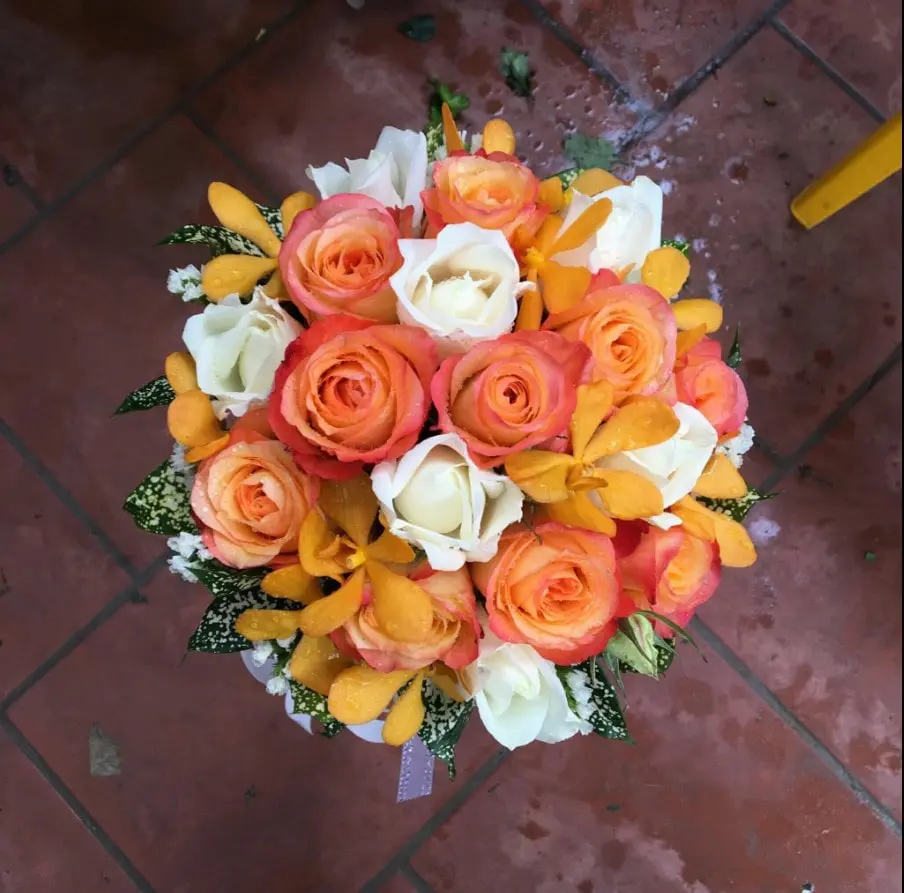 Thế Giới Màn Cửa