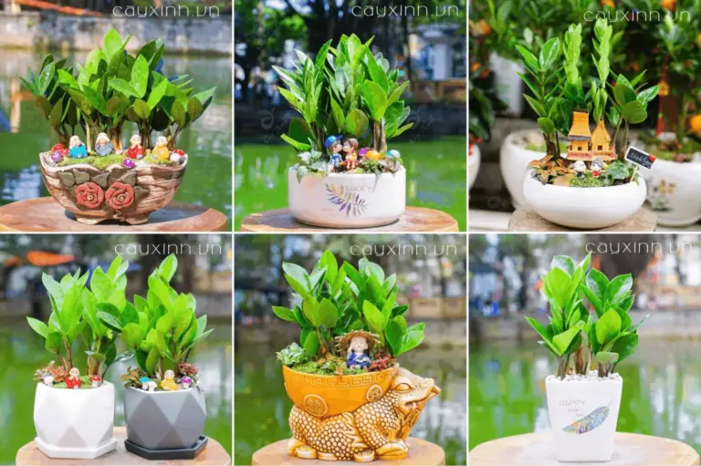 Đừng Bỏ Qua Top 10 Cửa Hàng Cây Cảnh Thanh Hoá Chất Lượng Nhất