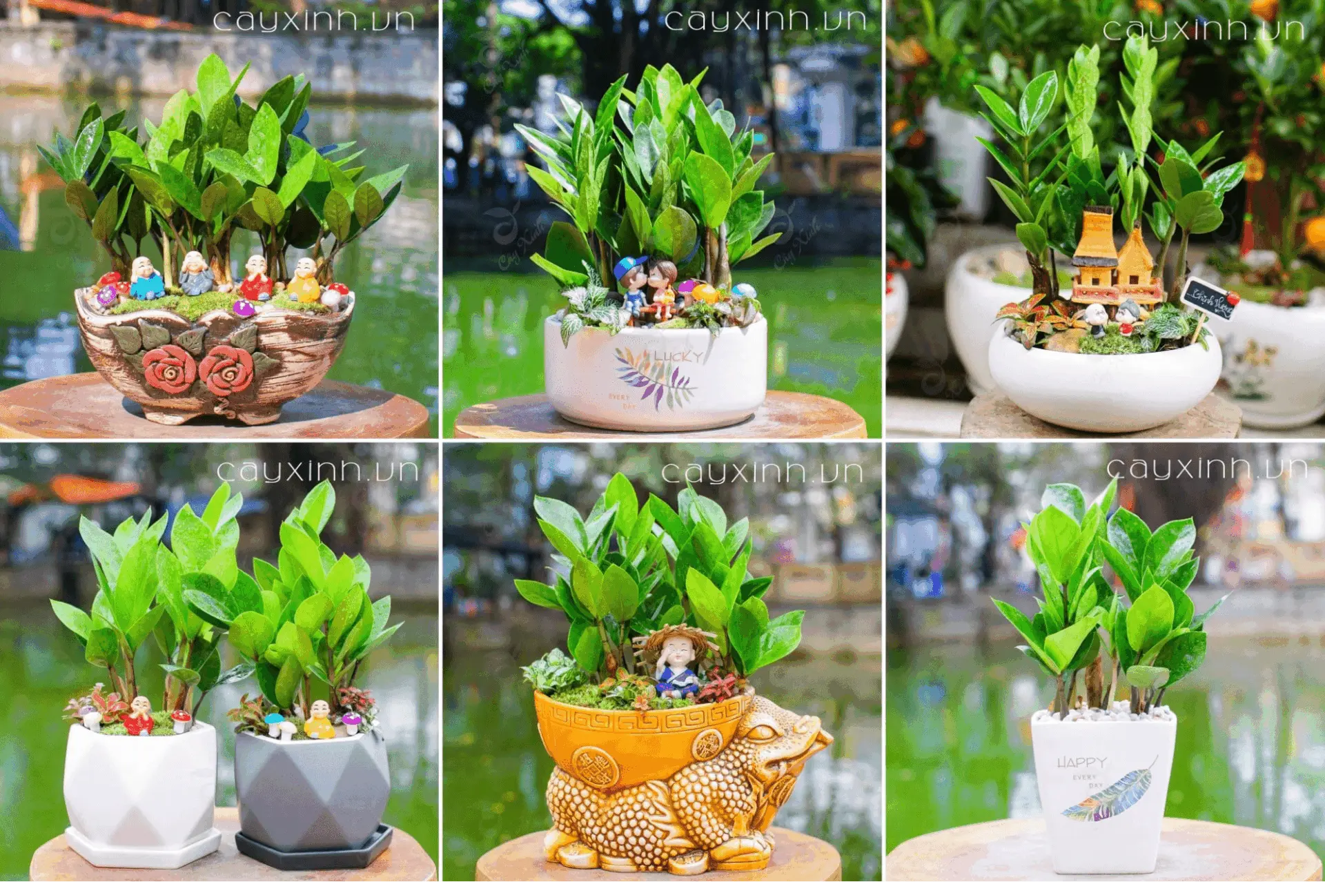 các trường tư thục tốt nhất tphcm