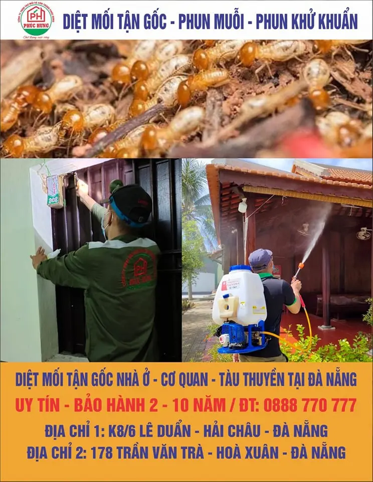 diet-moi-da-nang