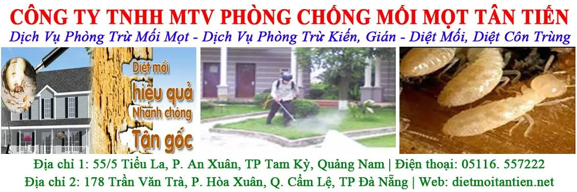 diet-moi-da-nang