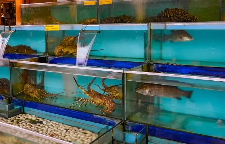 phòng khám răng hàm mặt Vũng Tàu