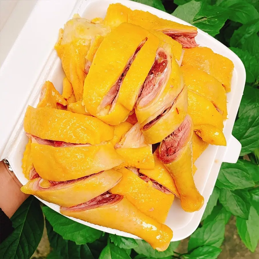 Khám Phá TOP 5 Nhà Hàng Gà Đông Tảo Hà Nội Ngon Đậm Vị