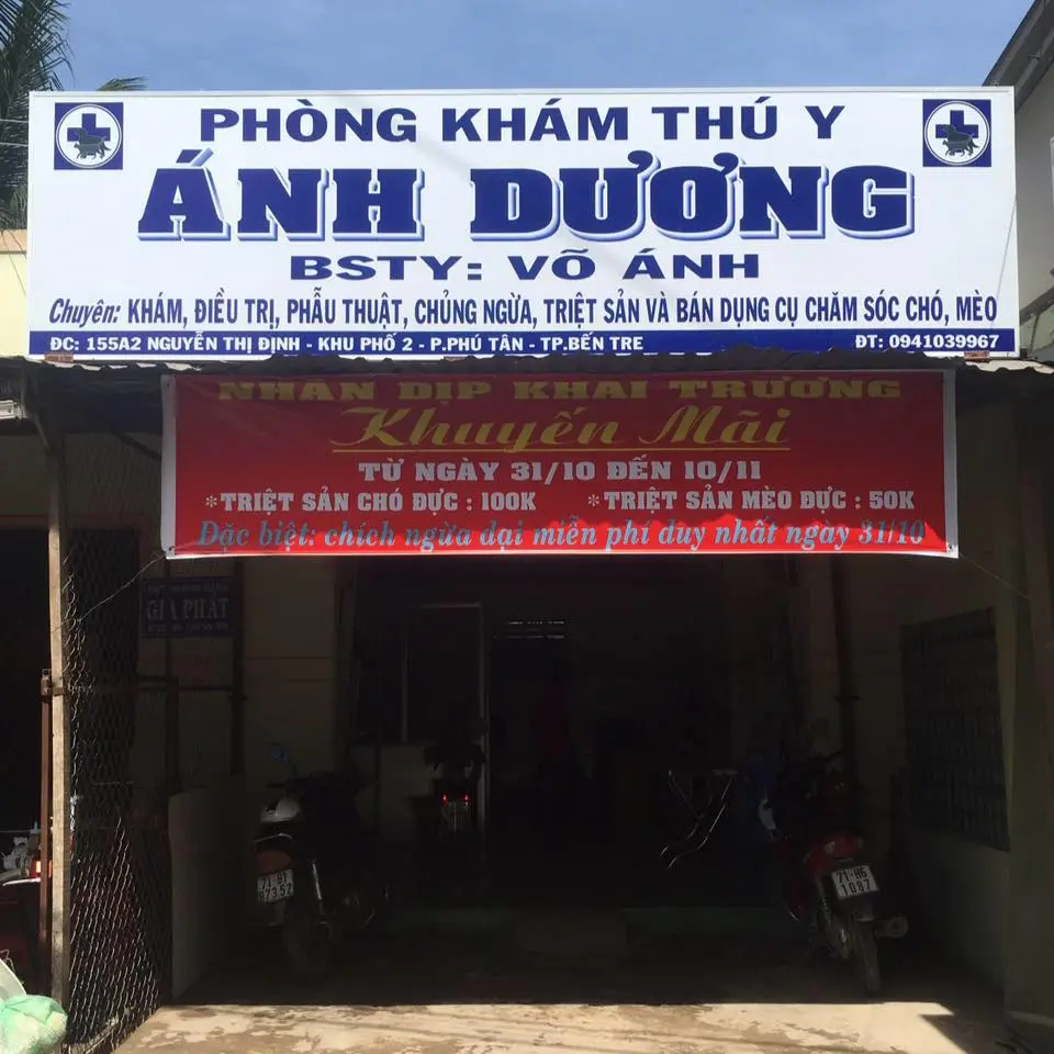 Rèm Cửa Thanh Hoá Rèm Thụy Sỹ