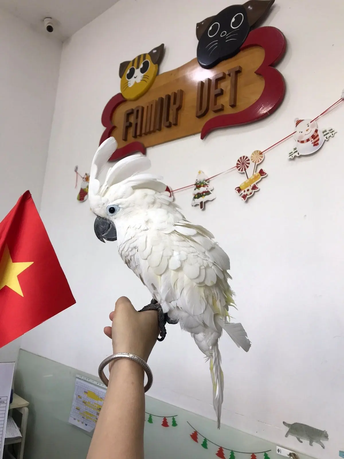phong-kham-thu-y-binh-thanh-13-min Phòng Khám Thú Y FamilyVet