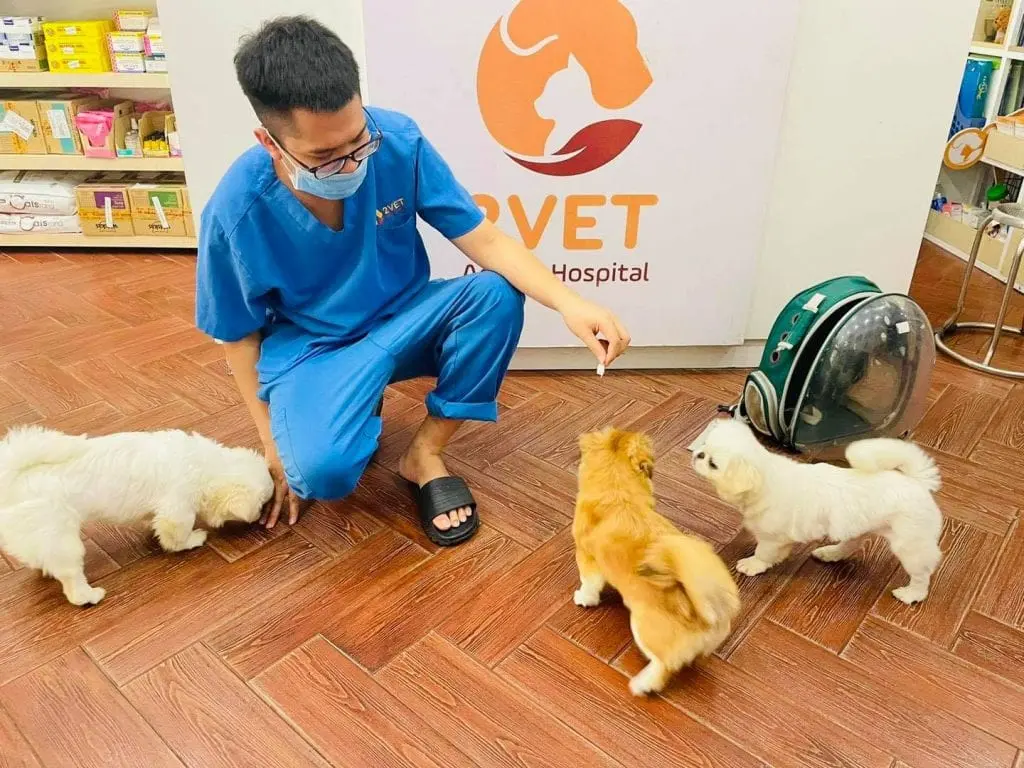 phong-kham-thu-y-binh-thanh-5-min phòng khám thú y Bình Thạnh
