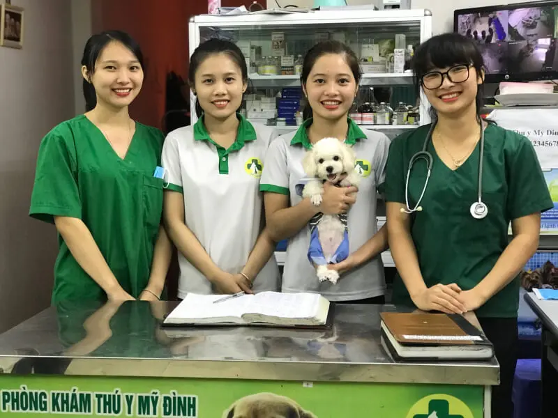 phòng khám thú y vũng tàu phòng khám thú y vũng tàu